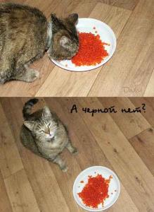 Присоединённое изображение