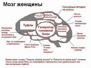 Присоединённое изображение
