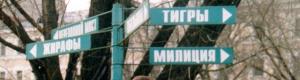 Присоединённое изображение