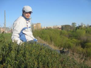 Присоединённое изображение